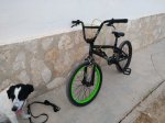 IMG_20170726_193505.jpg
