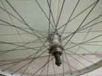 IMG_20170727_164703.jpg