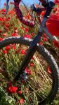 WP_20170507_006.jpg