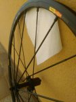 IMG_20170731_102028.jpg