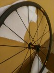 IMG_20170731_102041.jpg