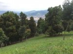 IMG_8606.JPG