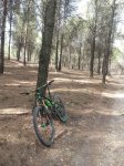IMG_20170802_192050.jpg