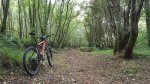 20170802_193123.jpg
