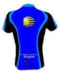 maillot-t-vieira.jpg