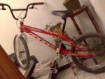DSC00285.JPG