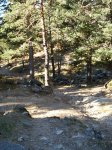 DSC02922_resize.JPG