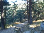 DSC02928_resize.JPG