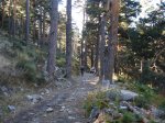 DSC02935_resize.JPG