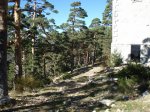 DSC02952_resize.JPG