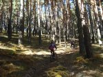 DSC02976_resize.JPG