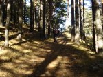 DSC02977_resize.JPG
