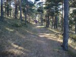 DSC02994_resize.JPG