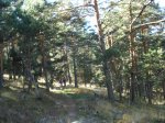 DSC02996_resize.JPG