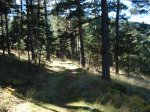 DSC02997_resize.JPG