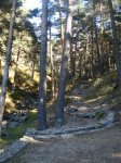 DSC03026_resize.JPG