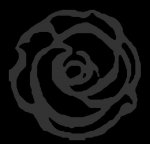 Black Rose.jpg