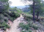 Imagen097as.jpg