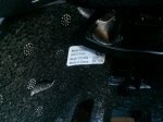 IMG_20170809_200420.jpg