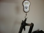 DSC05286.JPG