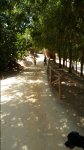 IMG-20170815-WA0001.jpeg