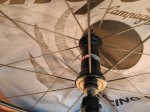 IMG_20170815_130537.jpg