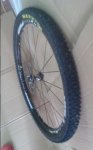 20170814_185543_resized.jpg