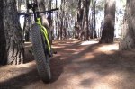 IMG_20170806_181311.jpg