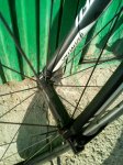 IMG-20170805-WA0000.jpg