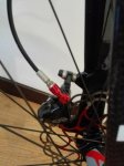 IMG_20170811_154353.jpg