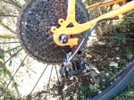 IMG_20170817_151036.jpg