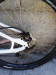 IMG_20170816_142459.jpg