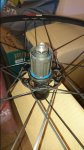 DSC_0176.jpg