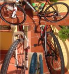 bici 2.jpg