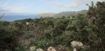 Panorama 2.JPG