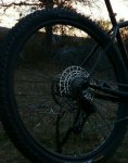 IMG_20170302_184310-01-01-01.jpg