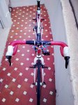 IMG_20170828_185304.jpg