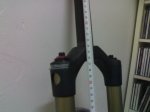 02112007380.jpg