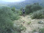 DSC01165p.jpg