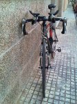 IMAG0015.jpg