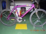 DSCN0842.jpg