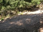 DSCN2877.JPG