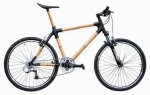 bici1.jpg