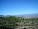 DSC04503.JPG