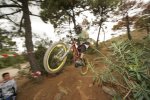 DH Estepona 397.jpg
