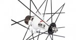 Fulcrum-Racing-.jpeg
