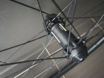 IMG-20170903-WA0119.jpg