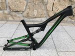 Ibis1 - copia.JPG