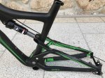 Ibis6.JPG