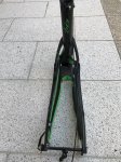 Ibis7.JPG